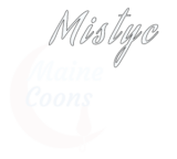 Mistyc Coons