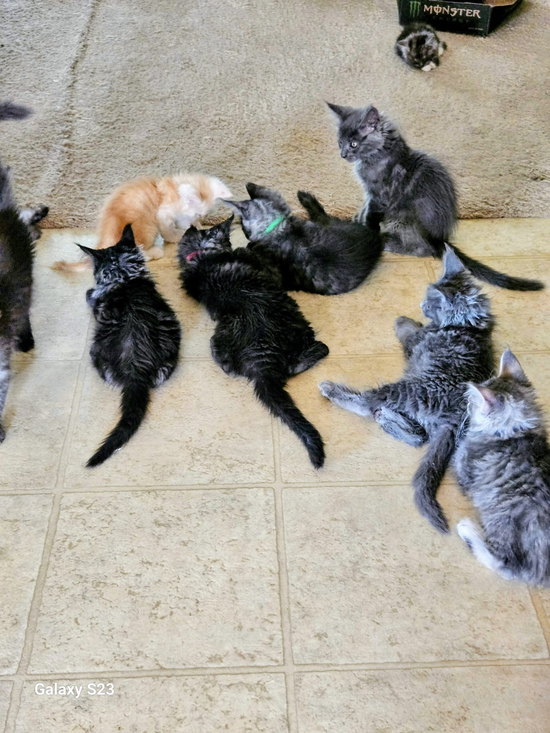 Everyone in the kitchen